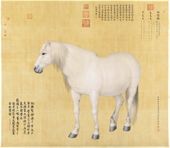 Horse Benxiaocong