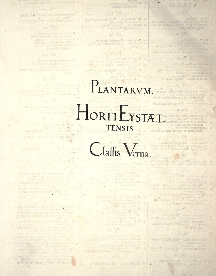 Hortus Eystettensis, 1640 (BHL 45339 006) - Classis Verna, title