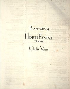 Hortus Eystettensis, 1640 (BHL 45339 006) - Classis Verna, title
