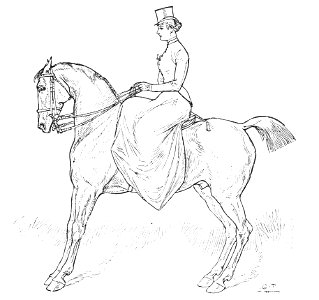 Horsemanship for women 059