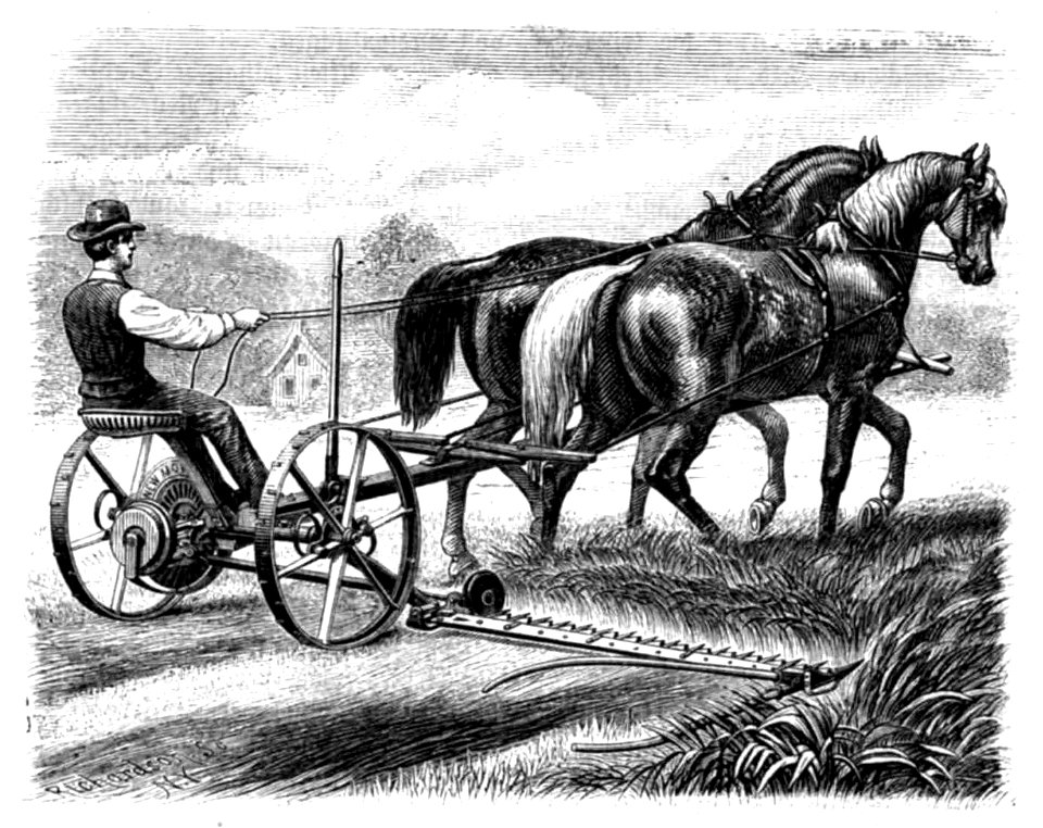 Hottinger Volksblatt 1878 137 Bild1