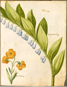 Hortulus Monheimensis - 073