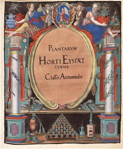 Hortus Eystettensis, 1613 (KU 2894-3 191) -title Classis Autumnalis
