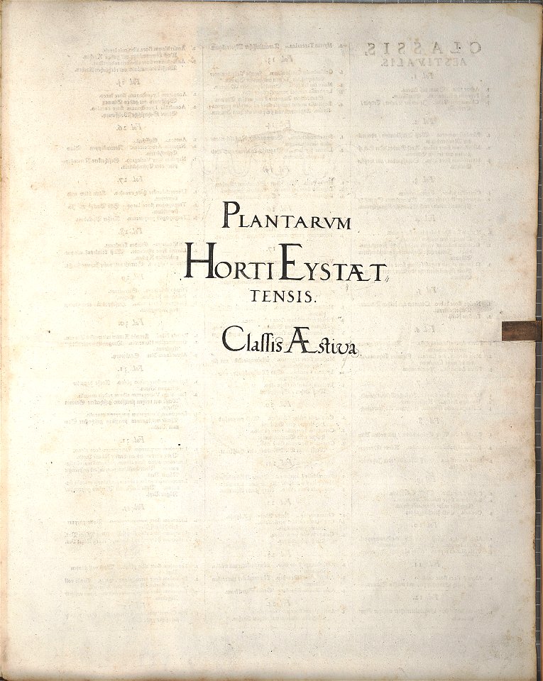 Hortus Eystettensis, 1640 (BHL 45339 146) - Classis Aestiva, title