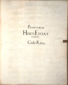 Hortus Eystettensis, 1640 (BHL 45339 146) - Classis Aestiva, title
