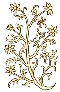 Hortus Camomilla