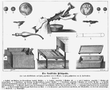 Hottinger Volksblatt 1878 228 Bild1