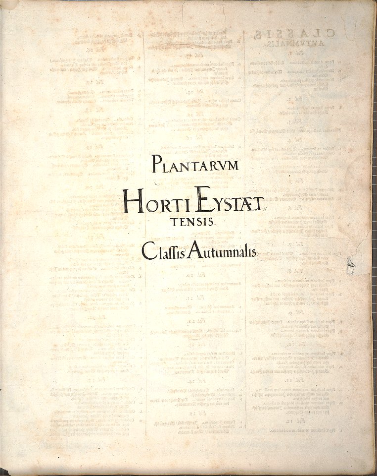 Hortus Eystettensis, 1640 (BHL 45339 338) - Classis Autumnalis, title