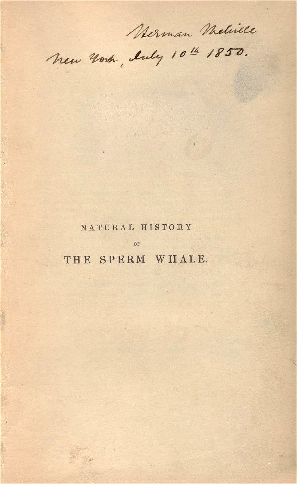 Houghton AC85.M4977.Zz839b - History of the Sperm Whale