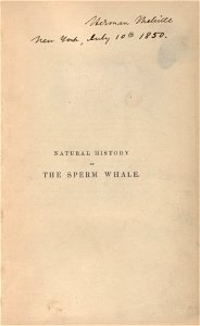 Houghton AC85.M4977.Zz839b - History of the Sperm Whale