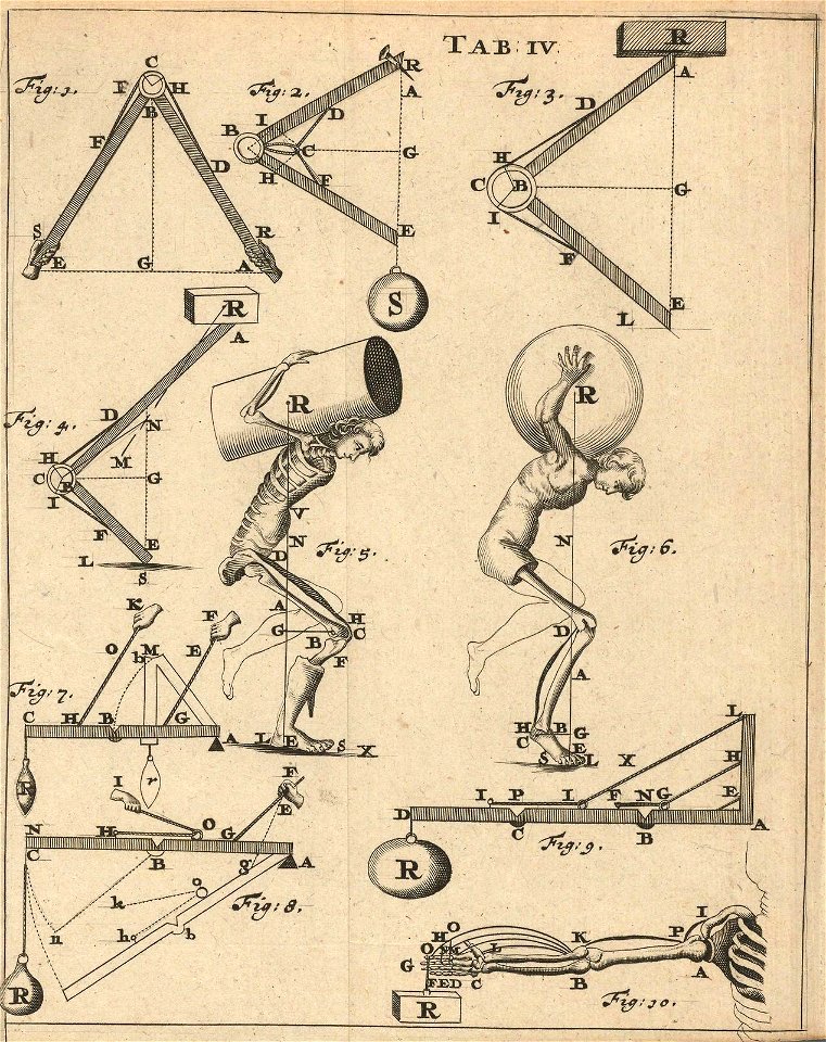 Houghton IC6 B6447 680db - De motu animalium, TAB IV