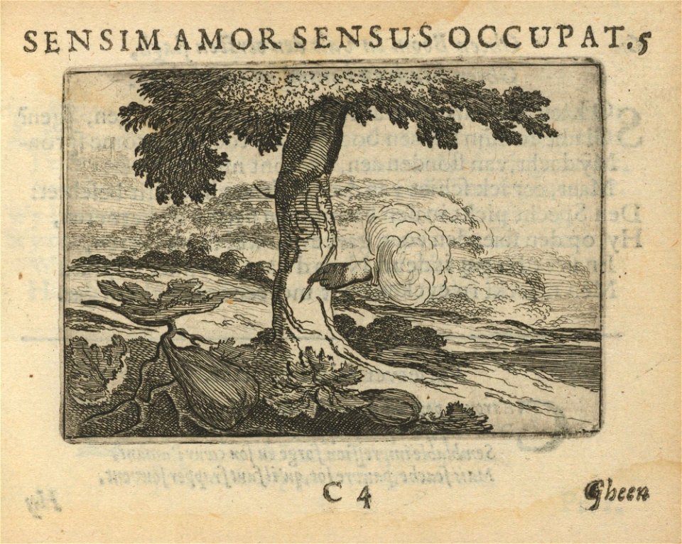 Houghton F 3710.11 - Sensim amor sensus occupat
