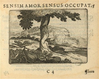 Houghton F 3710.11 - Sensim amor sensus occupat
