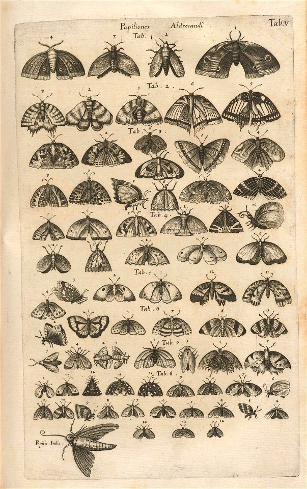 Houghton EC65 J7396 B653h - Historiae naturalis de piscibus et cetis, 1653