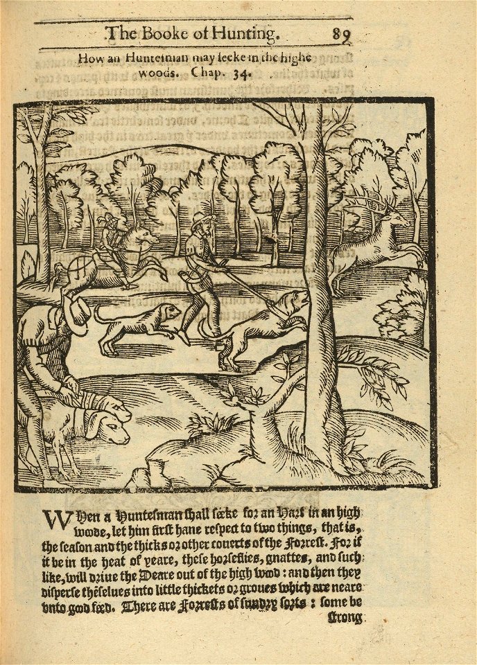 Houghton - Typ 605.11.853 The noble art of venerie or hunting, pg 89