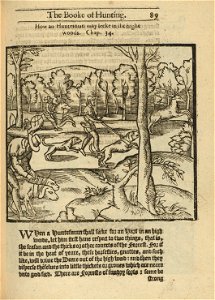 Houghton - Typ 605.11.853 The noble art of venerie or hunting, pg 89