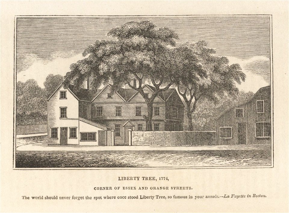 Houghton AC8 Sn612 825h - Liberty Tree
