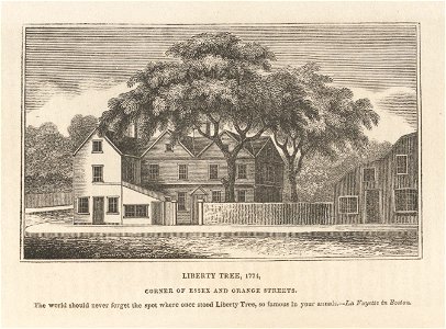 Houghton AC8 Sn612 825h - Liberty Tree