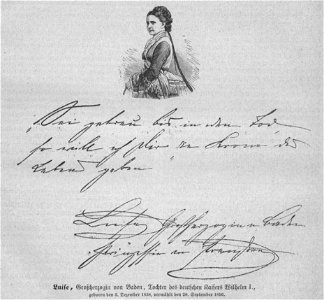 Hottinger Volksblatt 1878 153 Bild1