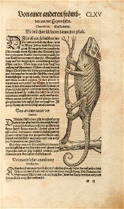 Houghton F 5405.58.6 - Gessner, Theirbuch - p.CLXV