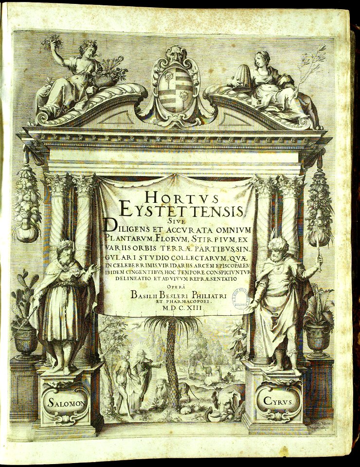 Hortus Eystettensis, Vorzeichnungen (MS 2370 2952480) -title