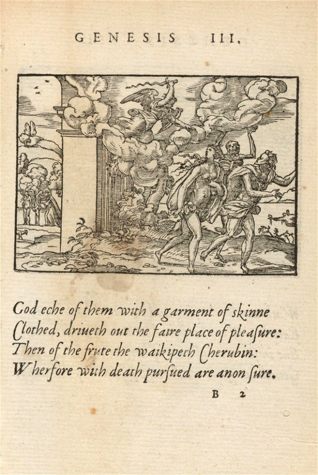 Houghton Typ 515.53.674 - Claude Paradin, Genesis III
