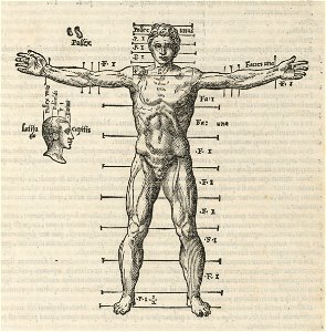 Houghton OLC.V834.567 - Vitruvio 89
