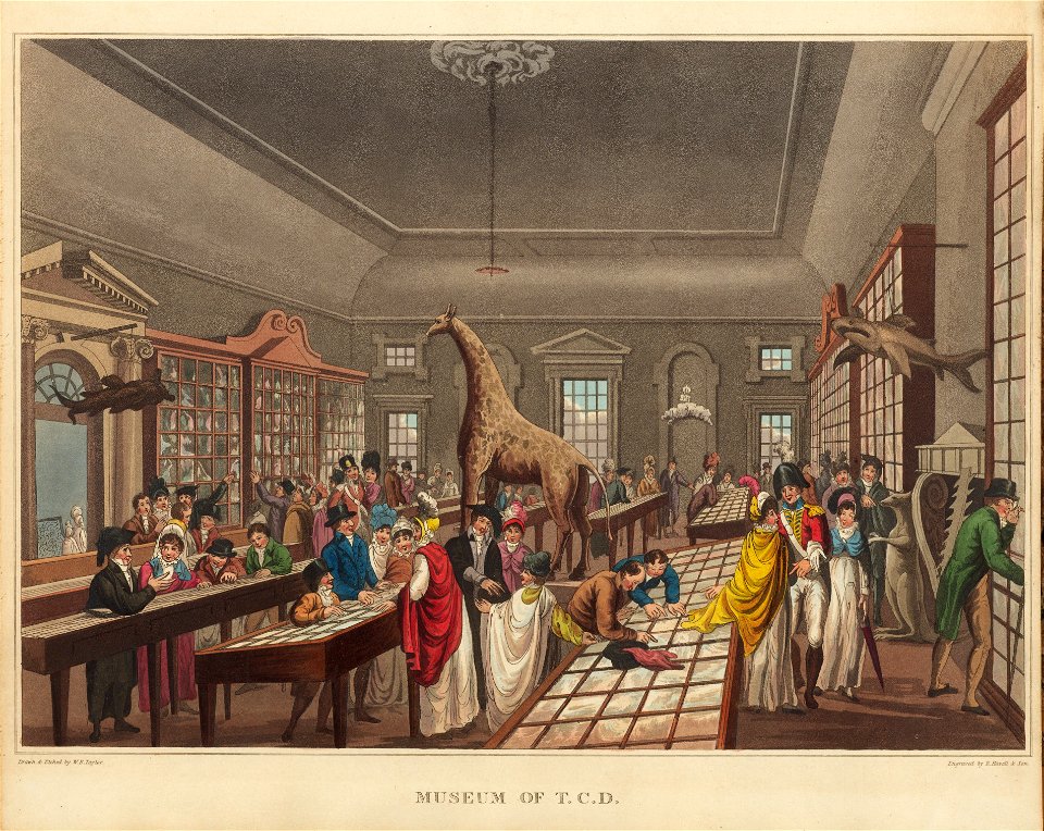 Houghton 57-430 - Museum of TCD