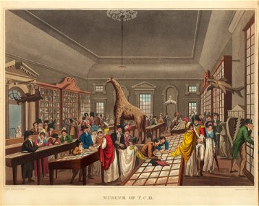 Houghton 57-430 - Museum of TCD