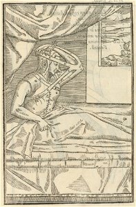 Houghton Typ 525.97.820 - De curtorum chirurgia per insitionem, icon octua - cropped