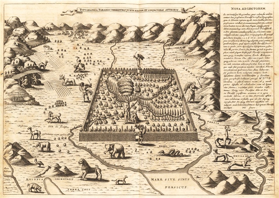 Houghton GC6 K6323 675a (A) - topographia paradisi