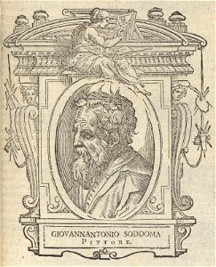 Houghton Typ 525 68.864 - Vasari, Le vite - Giovannantonio Soddoma