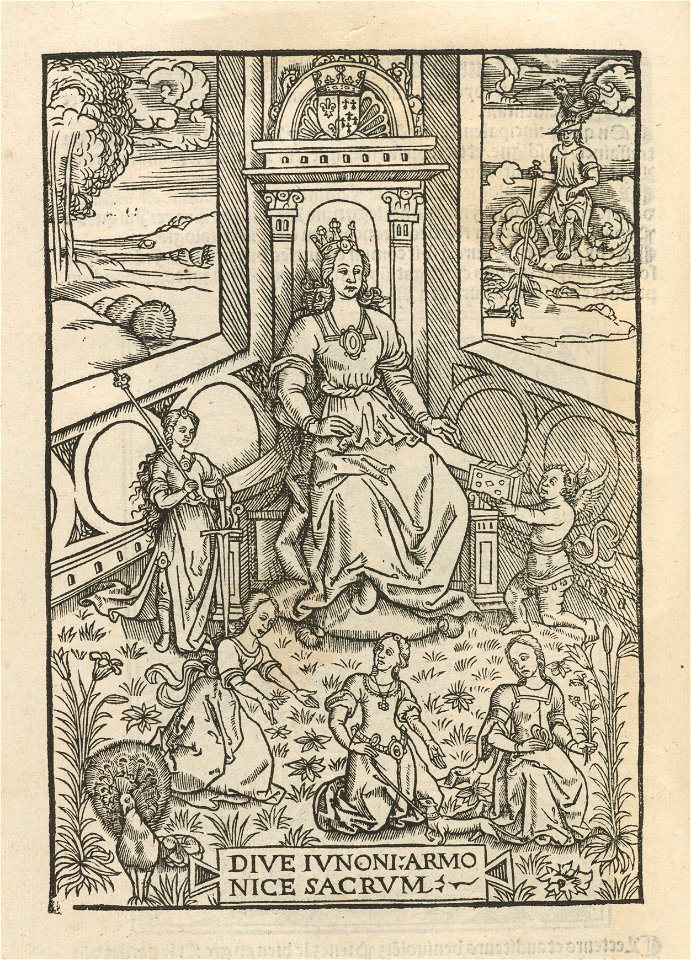 Houghton Typ 515.12.515 - Les illustrations de Gaule, dive ivnoni
