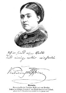 Hottinger Volksblatt 1878 083 Bild2