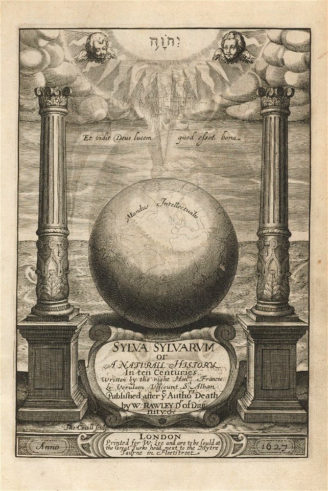 Houghton STC 1168 - Bacon, Sylva sylvarum