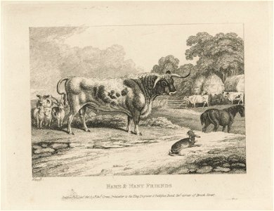 Houghton 15459.615.33 - Howitt, hare and many friends