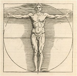 Houghton OLC.V834.Eh547 - Architecture, 1547, p. 28 verso