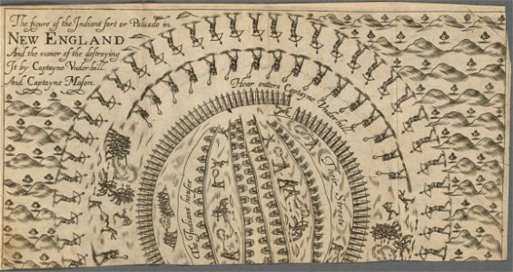 Houghton STC 24518 - Underhill, Newes from America, Palizado
