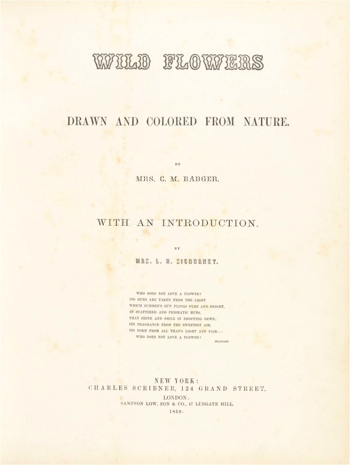 Houghton EDR 467 - Wild Flowers Drawn, title