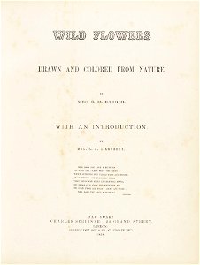 Houghton EDR 467 - Wild Flowers Drawn, title