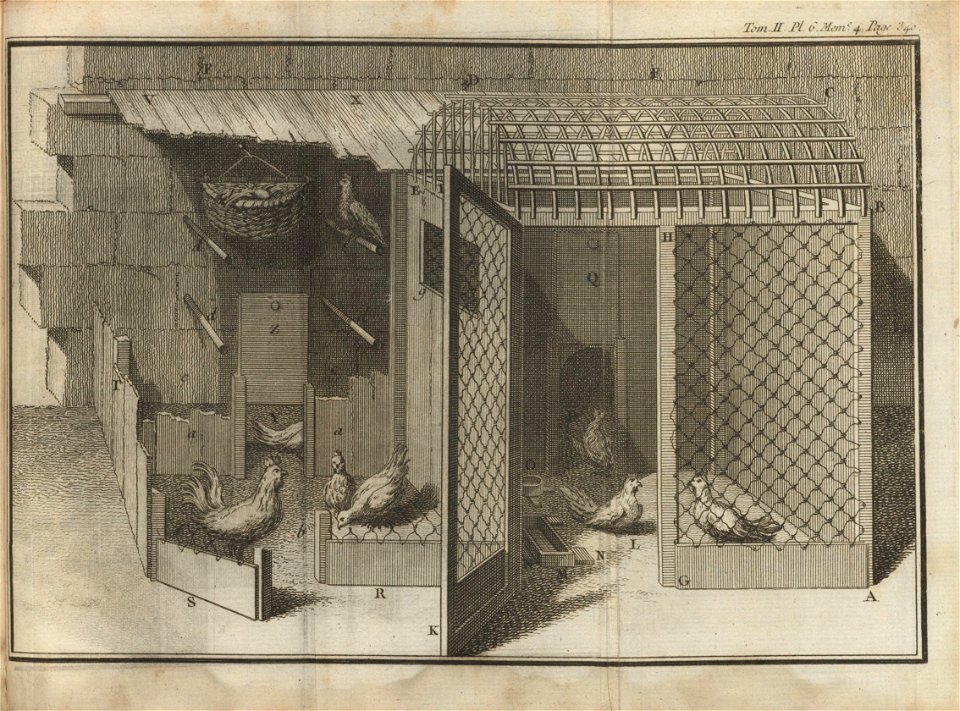 Houghton Typ 715.49.734 - Réaumur, pl 6