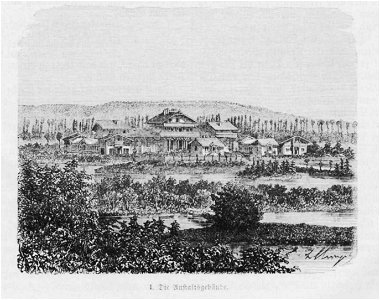 Hottinger Volksblatt 1878 396 Bild1