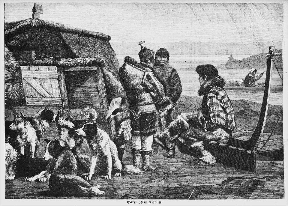 Hottinger Volksblatt 1878 165 Bild1