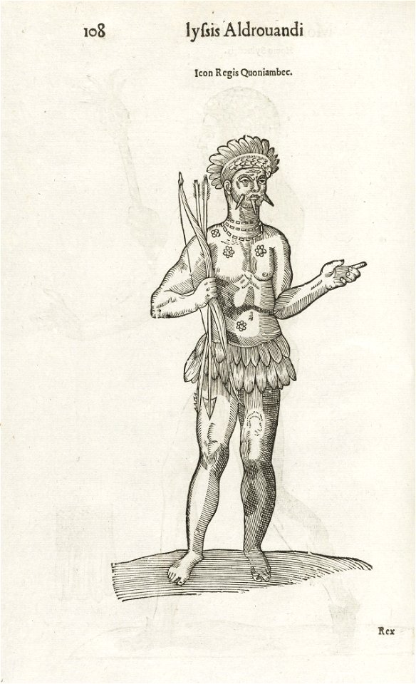 Houghton 51-897 - Monstrorum historia, 108