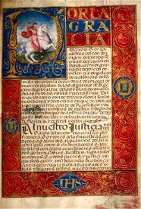 Houghton MS Typ 515