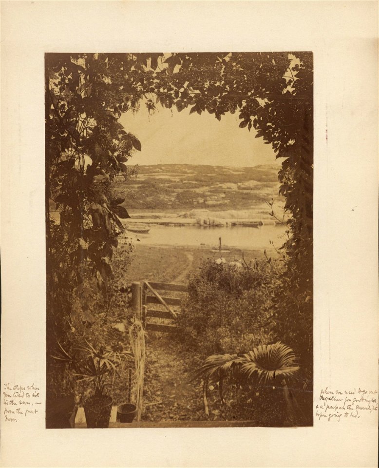 Houghton MS Am 1272.2 - Thaxter cottage