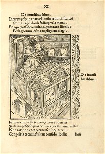 Houghton WKR 1.1.12 - Stultifera nauis, XI