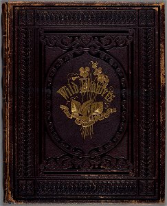 Houghton EDR 467 - Wild Flowers Drawn, cover