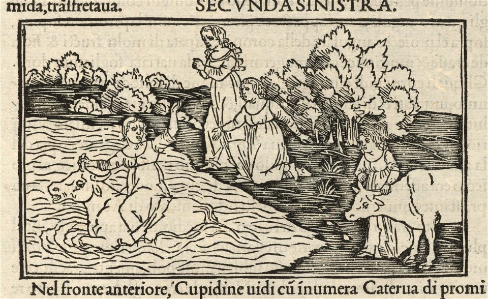 Houghton WKR 3.5.4 - Hypnerotomachia Poliphili, k4