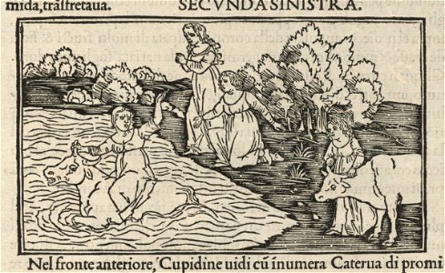 Houghton WKR 3.5.4 - Hypnerotomachia Poliphili, k4